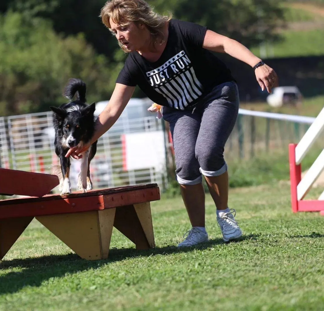 Chien sur un plateau d'équilibre pendant une séance